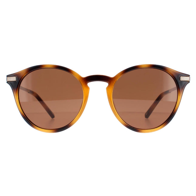 Ted Baker TB1632 Ashton 100 Sunglasses