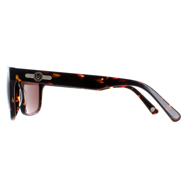 Duck and Cover DCS026 C2 Sunglasses