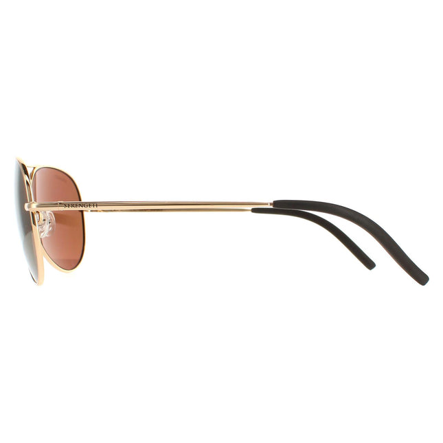 Serengeti Carrara Small 8551 Sunglasses
