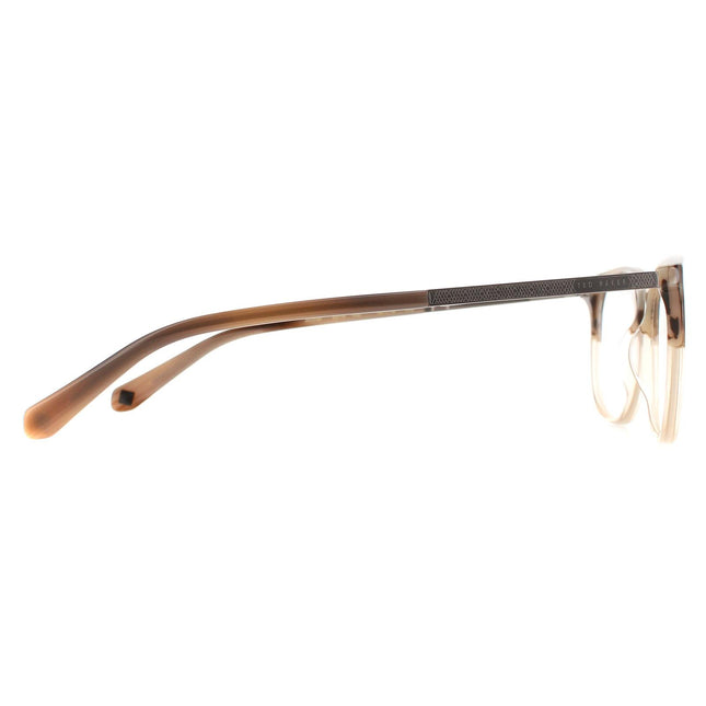 Ted Baker TB8219 Archer 102 Glasses